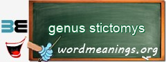 WordMeaning blackboard for genus stictomys